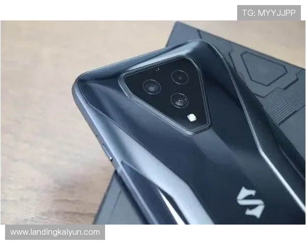 开云手机版会员登录流程详解帮助玩家快速顺利进入游戏体验最佳状态